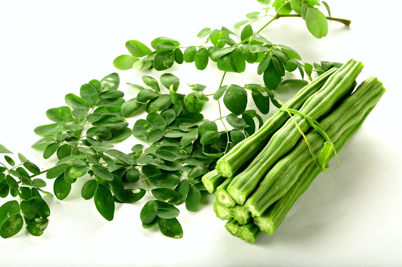 Discover the Many Health Benefits of Drumstick Powder