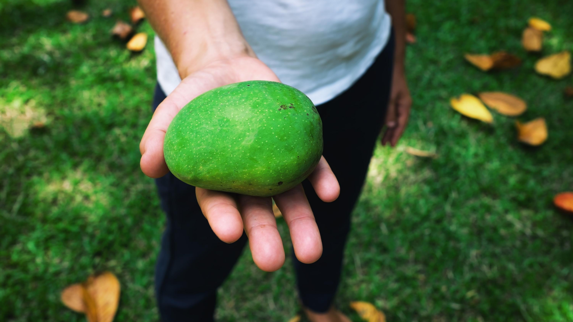 8 Reasons to Eat Mangoes